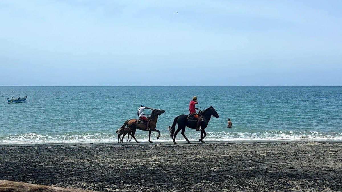 Caballos en la orilla de Playa Farallón, Panamá Dos caballos paseando por la orilla de Playa Farallón, vistos desde un chiringuito