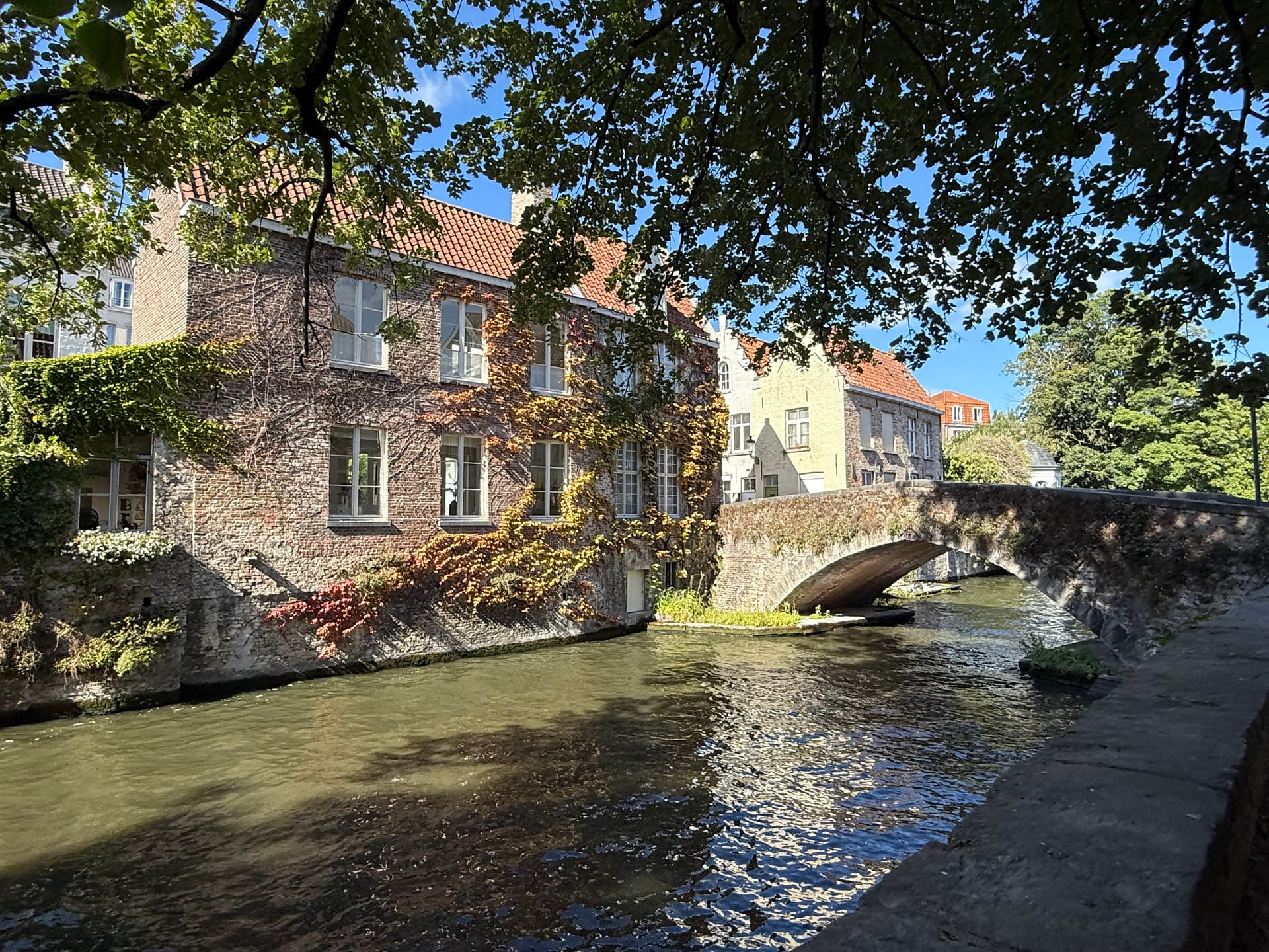 Vista de los canales de Brujas con casas medievales Qué ver en Brujas en un día