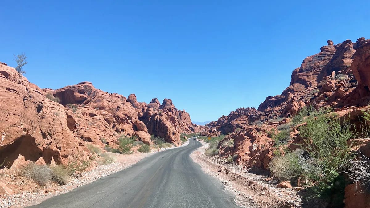 Conducir por los Parques Nacionales en Estados Unidos es toda una experiencia Vista de carretera Parque Nacional Estados Unidos